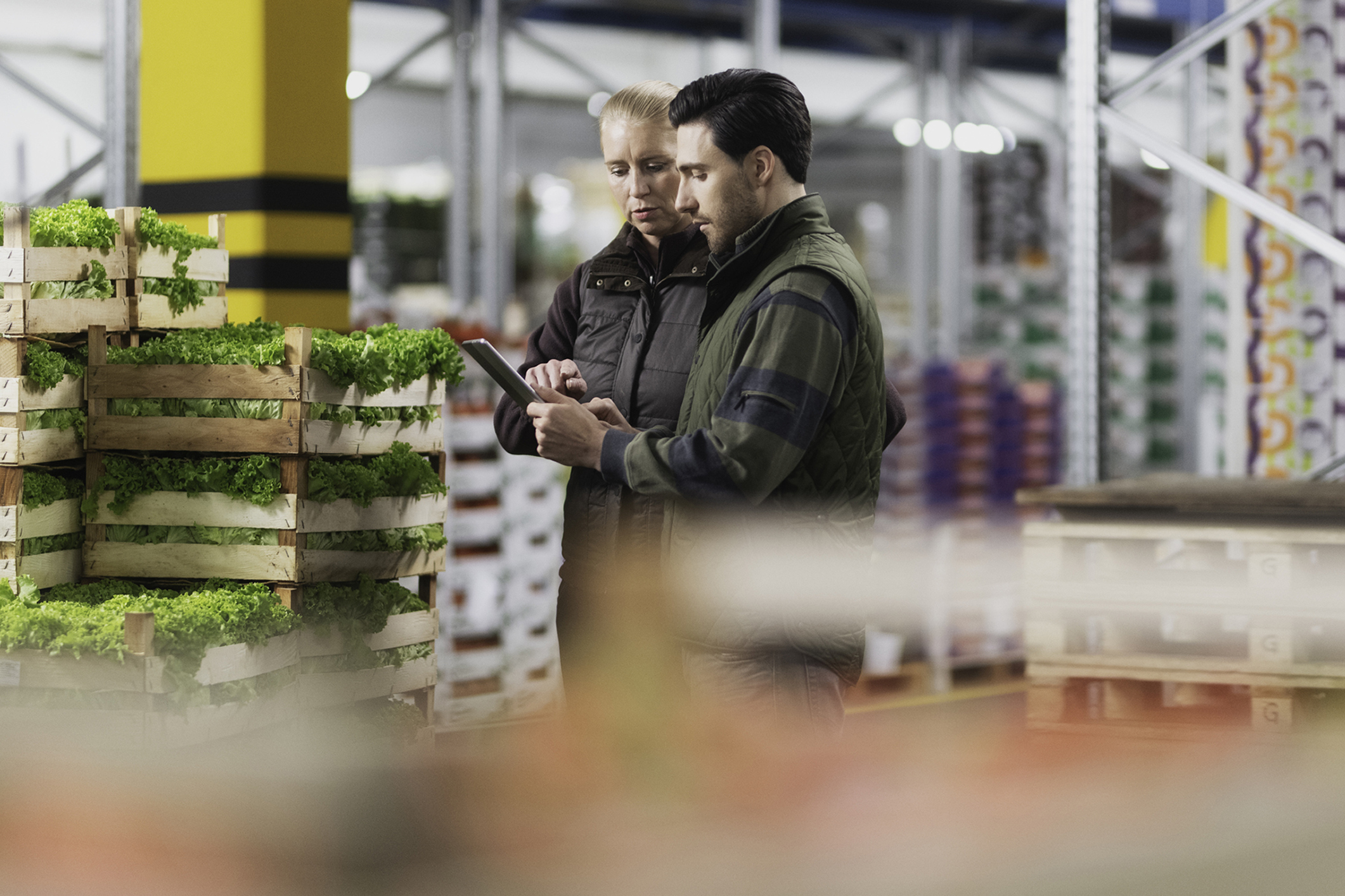 TRACEABILITY