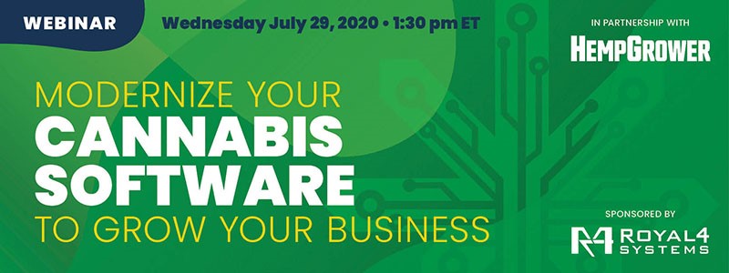 Modernize Your Cannabis Software to Grow Your Business
