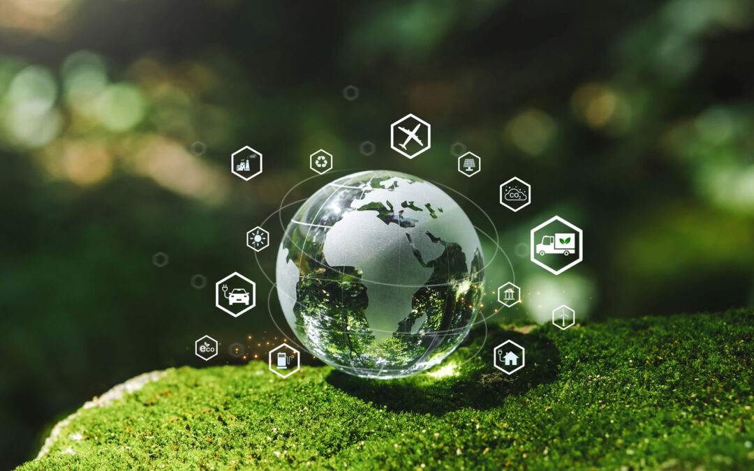 Best Practices for Reducing Your Carbon Footprint in Warehousing